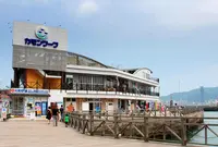 カモンワーフの写真・動画_image_190627