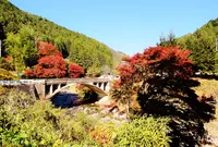道の駅豊根グリーンポート宮嶋の写真・動画_image_422819