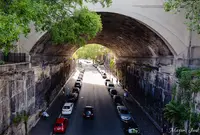 Argyle Cutの写真・動画_image_983589