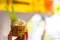 Gelato Messina Bondiの写真・動画_image_983709