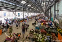 Carriageworks Farmers’ Marketの写真・動画_image_987562