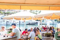 The Flying Bearの写真・動画_image_987616