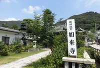 如来寺の写真・動画_image_189204