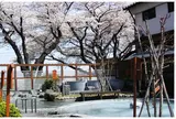 よみうりランド丘の湯