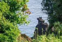 犬神平の写真・動画_image_184000