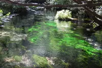 上高地の写真・動画_image_16364