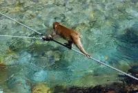 上高地の写真・動画_image_16366