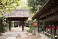 秦野駅〜登山道入口の写真・動画_image_30616