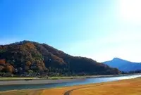 日野川河川緑地の写真・動画_image_31486