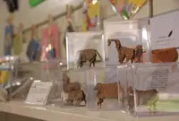 UMUの写真・動画_image_32317