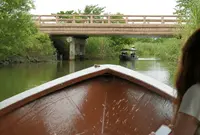 水郷のさとまるやまの写真・動画_image_42086