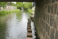 八幡川緑地の写真・動画_image_42104