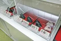 神宮商店の写真・動画_image_44057
