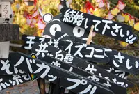 夫婦滝の写真・動画_image_45327