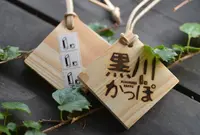 黒川温泉の写真・動画_image_45356