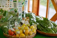 南小国町総合物産館きよらカアサの写真・動画_image_45638