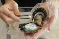 九十九島水族館海きららの写真・動画_image_48701