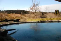 満願寺温泉の写真・動画_image_57324