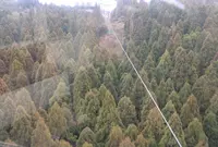 六甲有馬ロープウェー有馬温泉駅の写真・動画_image_58667