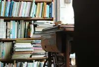 谷中ボッサの写真・動画_image_62338