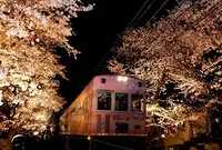 宇多野駅の写真・動画_image_66145