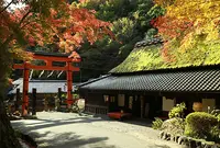 愛宕念仏寺の写真・動画_image_66384