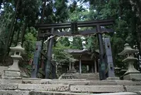 清滝の写真・動画_image_66516