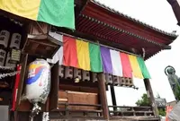 北国街道の写真・動画_image_67114