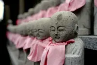 慈尊院の写真・動画_image_67705