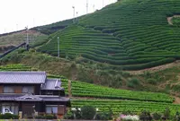 和束町役場の写真・動画_image_73856