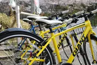 和束茶カフェの写真・動画_image_73923