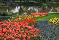 国営昭和記念公園の写真・動画_image_73941