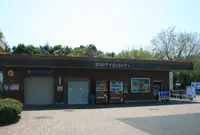 国営昭和記念公園の写真・動画_image_73948