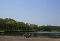 国営昭和記念公園の写真・動画_image_73954