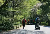 国営昭和記念公園の写真・動画_image_73981