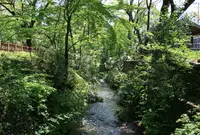 小平市の写真・動画_image_74474