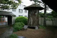 平櫛田中彫刻美術館の写真・動画_image_76769