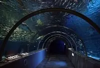 マリンピア日本海の写真・動画_image_129213