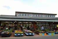 朝ドレファーミの写真・動画_image_129574