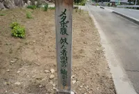 メタボバイバイロードの写真・動画_image_131148