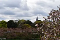 上智大学前　四谷駅までのお濠散歩の写真・動画_image_132955