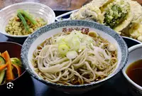 冷やかけそばの写真・動画_image_1444077