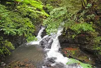 七滝の写真・動画_image_152740