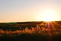 大観峰の写真・動画_image_152750