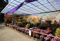 臥竜公園の写真・動画_image_152943