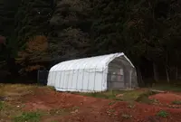 八九郎温泉の写真・動画_image_157285