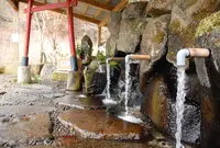 立岩水源公園の写真・動画_image_161825