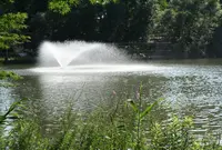 井の頭恩賜公園の写真・動画_image_163078