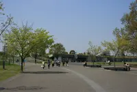 国営昭和記念公園の写真・動画_image_175735