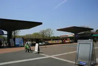 国営昭和記念公園の写真・動画_image_175738